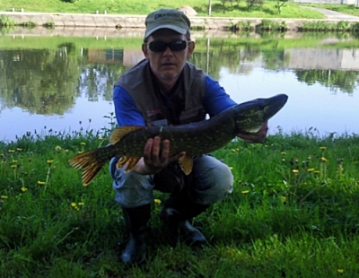 W końcu szczupak godny uwagi (76 cm )