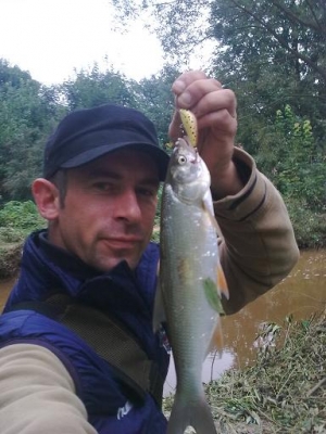 Boleń z Kamionki