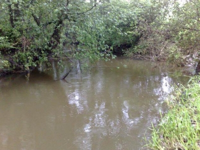 Belnianka