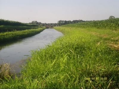 Nad kanałem 