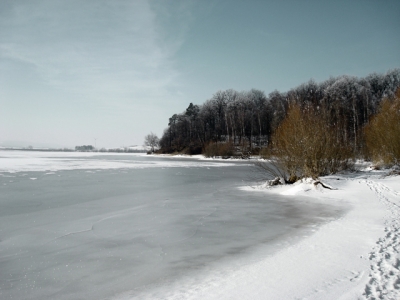 Niedzielny, zimowy krajobraz