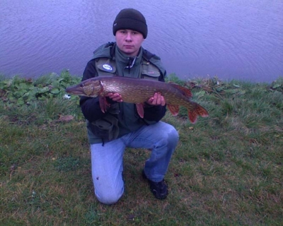 Esox