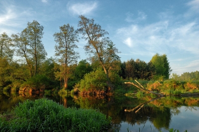 Dziewicza rzeka Wkra