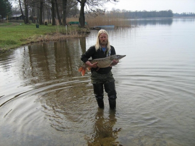 Wersminia Mazury