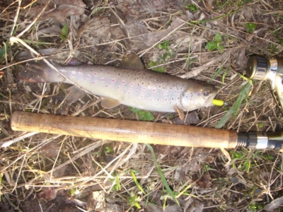 Rybuś 