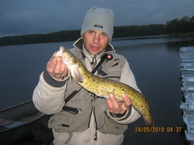 50cm miętówka 