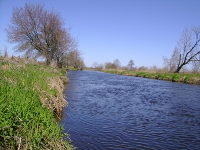 dziś nad rzeką