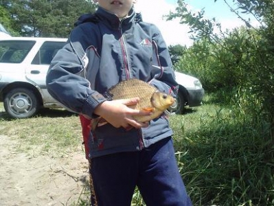 karaś