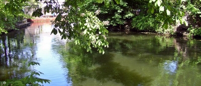 Brda młynówka