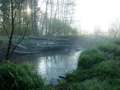 Terytorium kropka