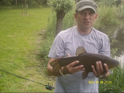 majowy prosiaczek 