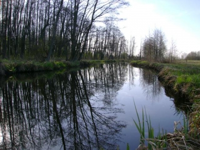 Klukówka