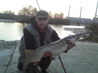 Wisla