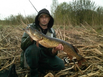 siemianowka