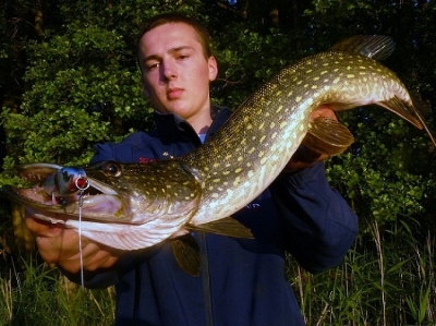 Jerkowy szczupal