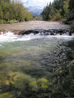 Czarny Dunajec