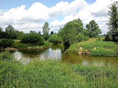 Stykanka
