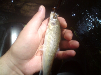 pierwsza wyprawa