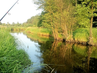 Biała Nida