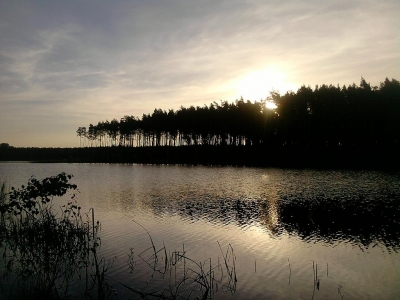 jeżewo