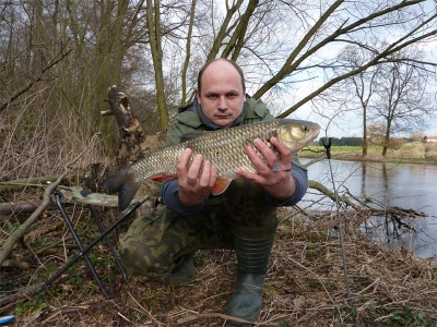 Wiosenny kleń