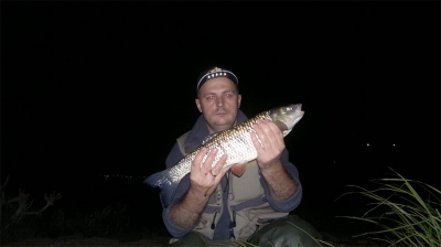 Kleń z rozmytej ostrogi