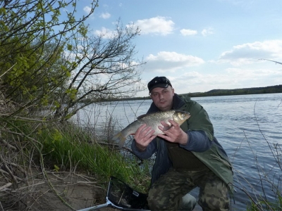 Jaź z Wisły