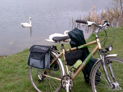 transport