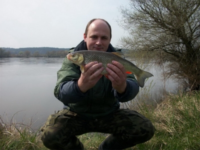Kleń