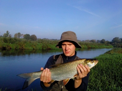 bolek