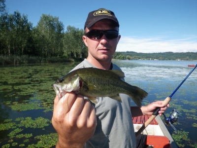 bass