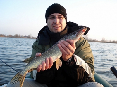 Dratów- lubelskie