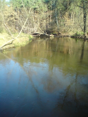Radomka