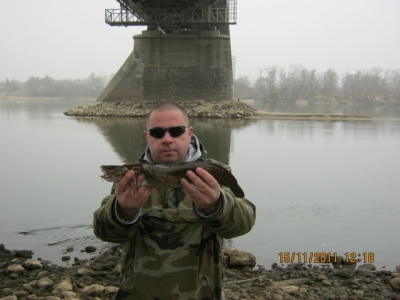 Miętus z Wisły