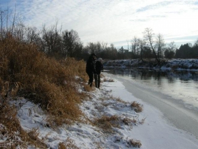 Drwęca