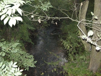 Białoruś