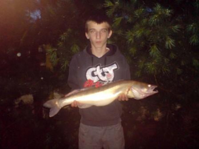 Sandacz 75cm 3,50kg