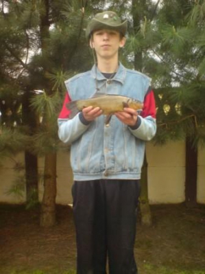 Lin 38cm