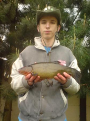 Lin 42cm