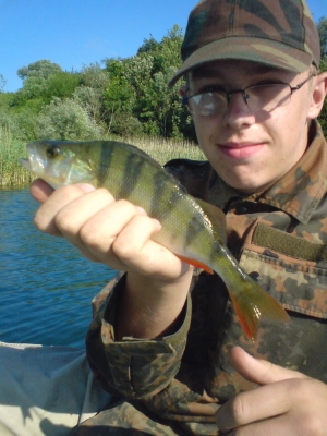 wyrobisko bolko 