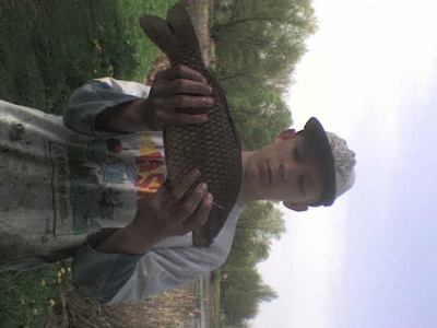 karaś 41cm na malego sieka 