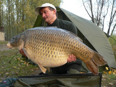 Pelnoluski