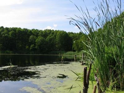 Jezioro Księżno