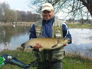 Amur 78cm