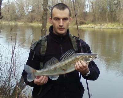 Kopyto