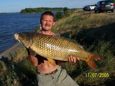 Rekordowy karp.
