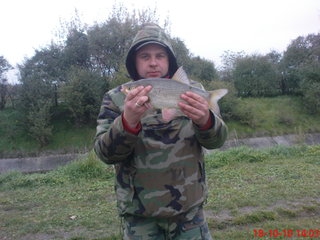 Jaz44cm
