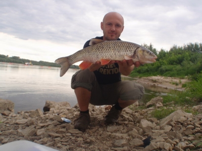 kleń