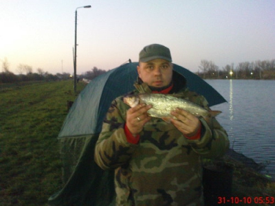 Certa41cm