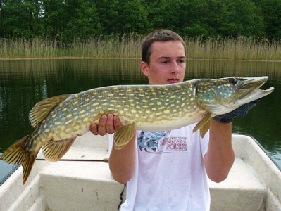 Pike